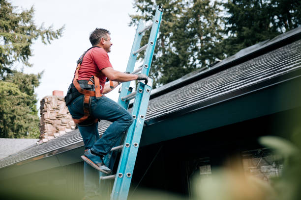 Best Roof Moss and Algae Removal  in Yellow Springs, OH